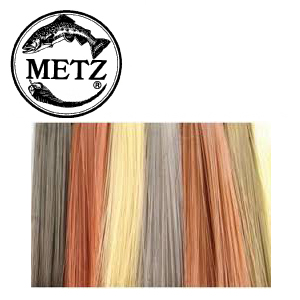 Metz Betts` Tailing Fibers